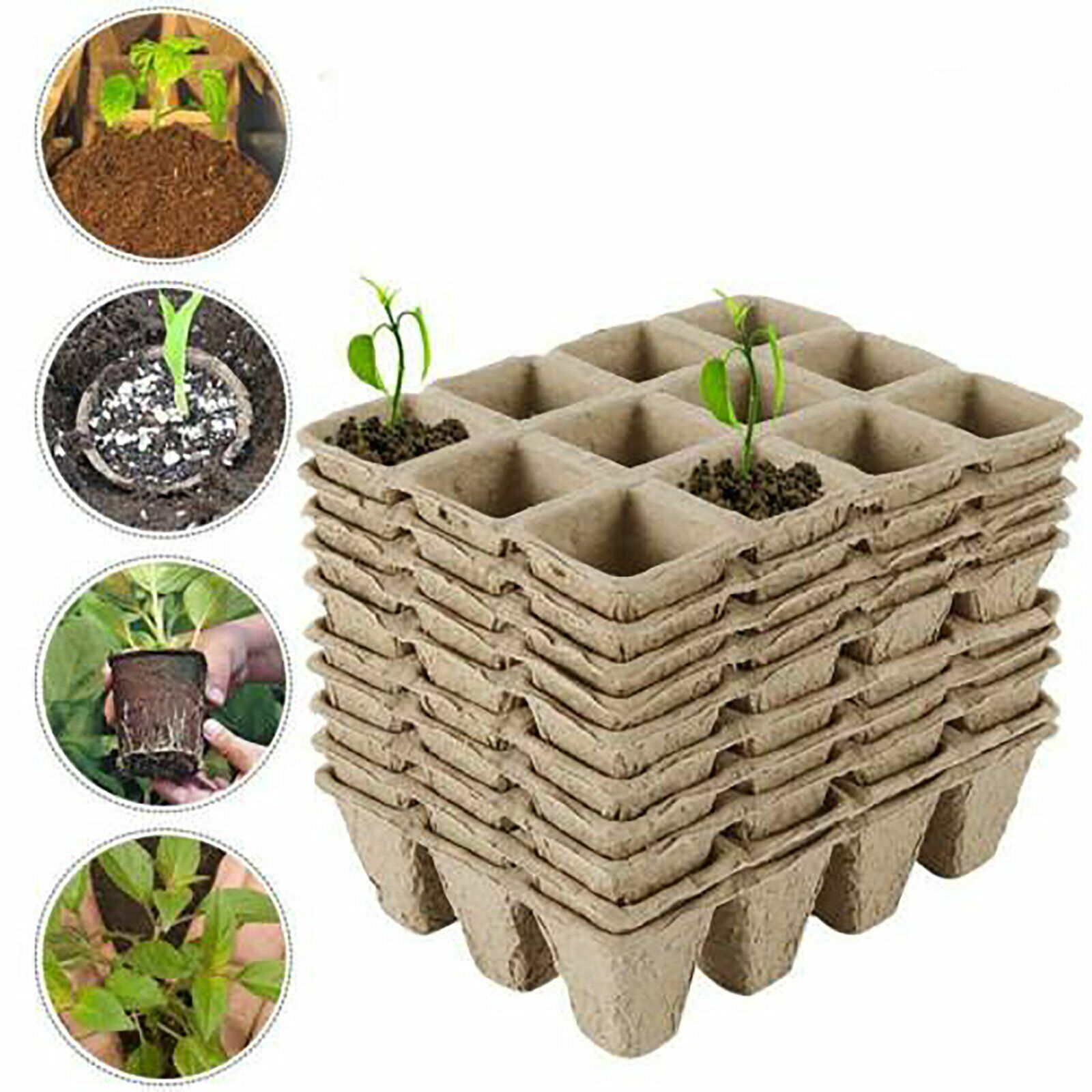 10pcs Biodegradable Seedling Trays 12-Hole Garden Starter, Eco-Friendly, 16.5x12x12 cm - SuperSaverAU - view 7