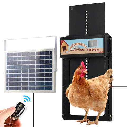 Premium 6W Automatic Chicken Coop Door with Solar, Battery & AC Power