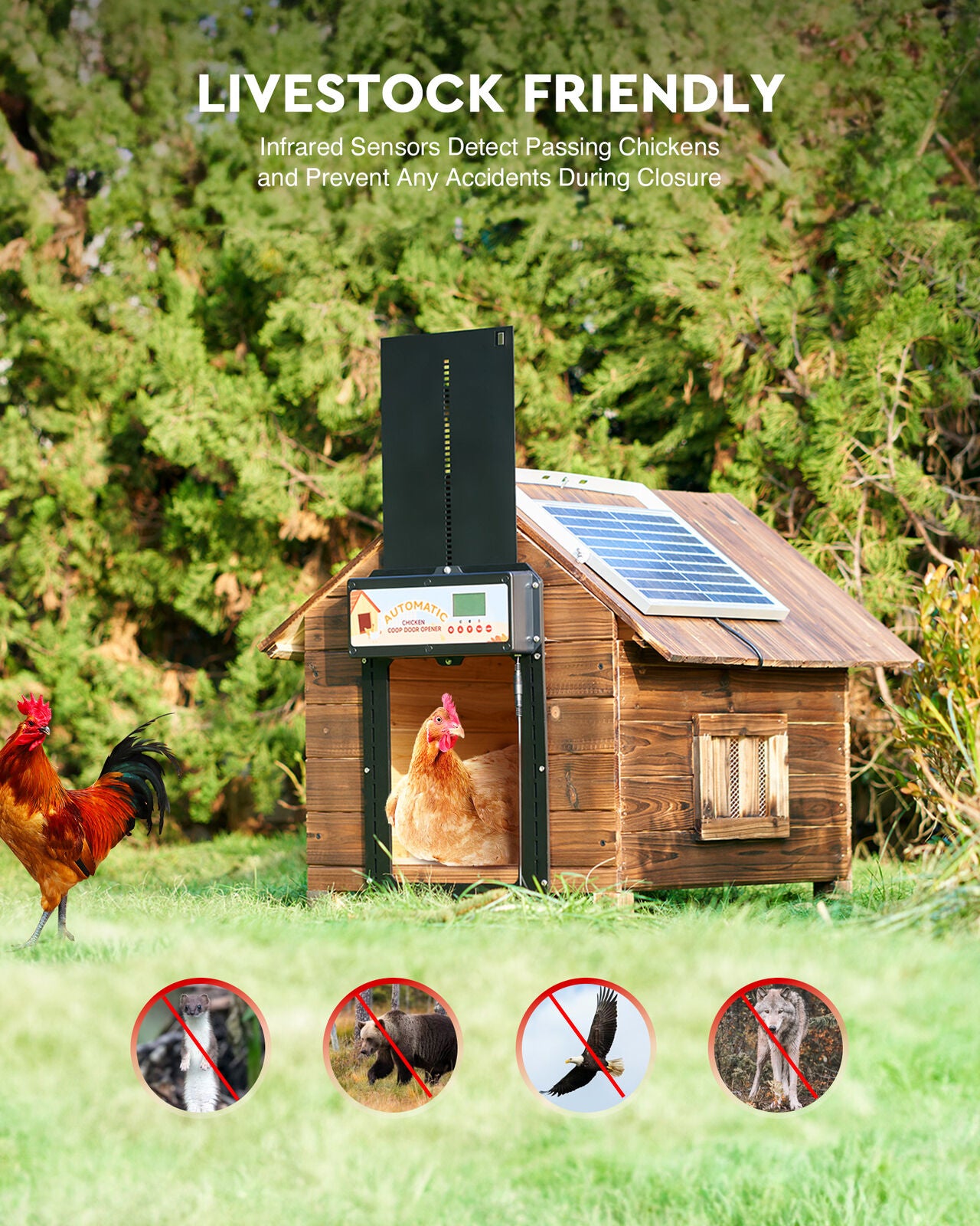 Premium 6W Automatic Chicken Coop Door with Solar, Battery & AC Power
