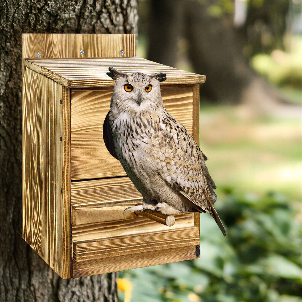 Owl Nesting Box Bird Feeder, 20x15x25 cm, Paulownia Wood, Easy Maintenance - SuperSaverAU - view 9