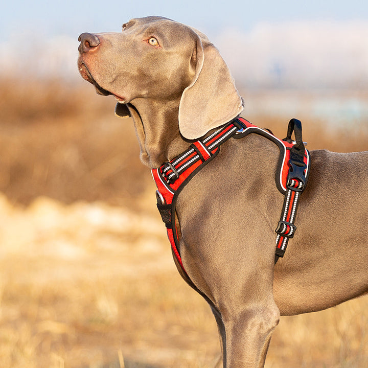 Premium Red Adventurer 3M Reflective No Pull Dog Harness Size M