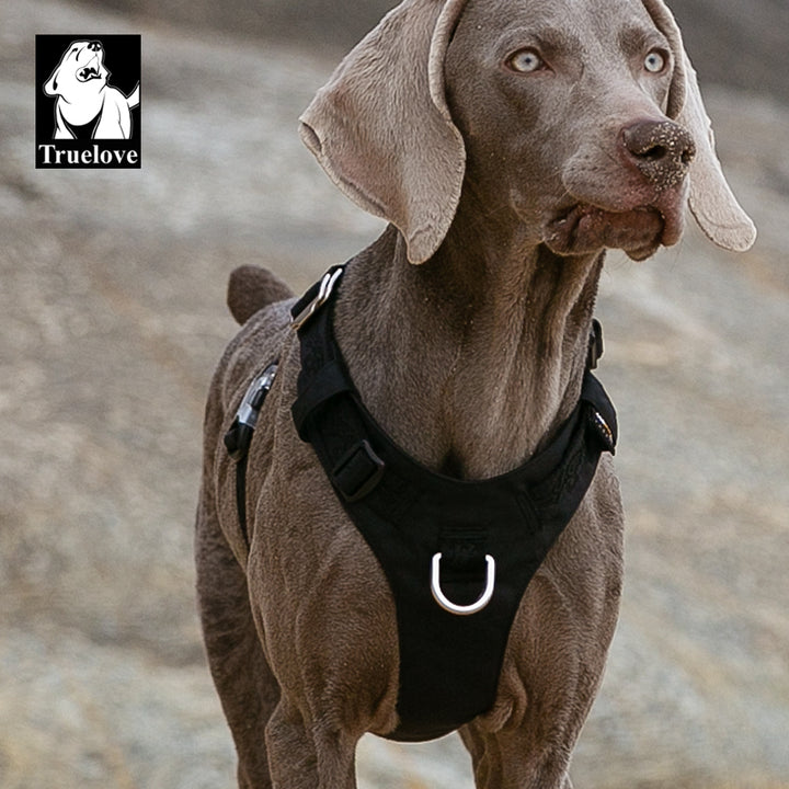Premium Black Lightweight Tactical Dog Harness Size L