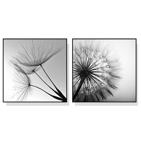 Premium Black and White Dandelion Framed Canvas Wall Art Set - Black Frame, 40 x 40cm