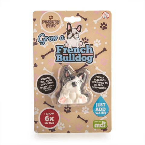 Grow French Bulldog - 1x V210-2671131 - SuperSaverAU - view 1