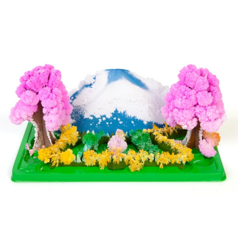 Grow Magic Garden - Sprouting Leaves from Paper, Blooms in 6 Hours - SuperSaverAU - view 1