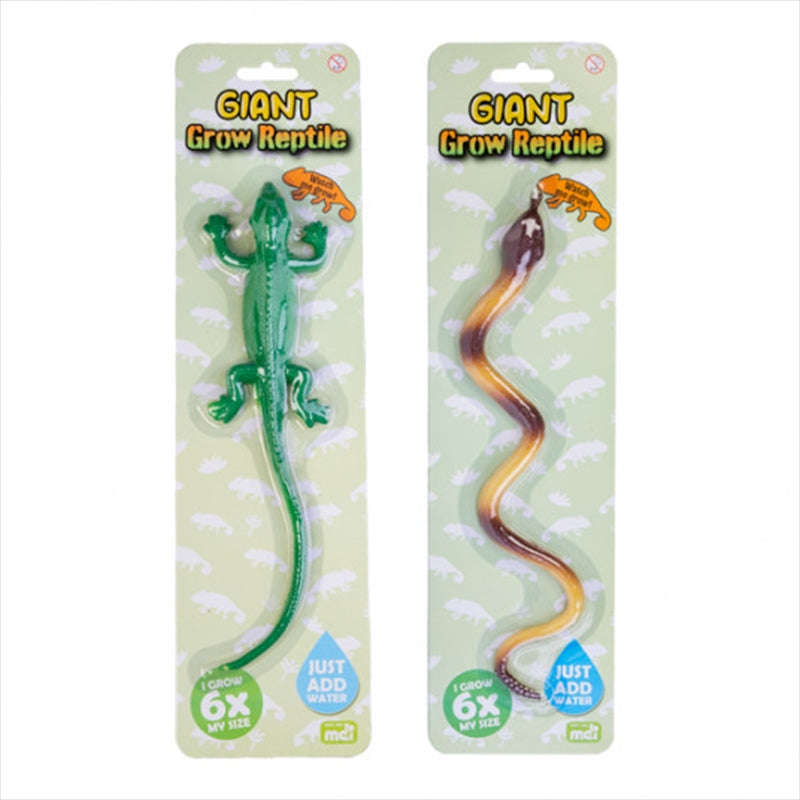 Giant Grow Reptile - 260mm Water-Activated Growing Toy - 2 Designs - SuperSaverAU - view 1