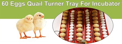 Electric 60 Egg Incubator with Accessories, Auto Turning, Digital Display - SuperSaverAU - view 7