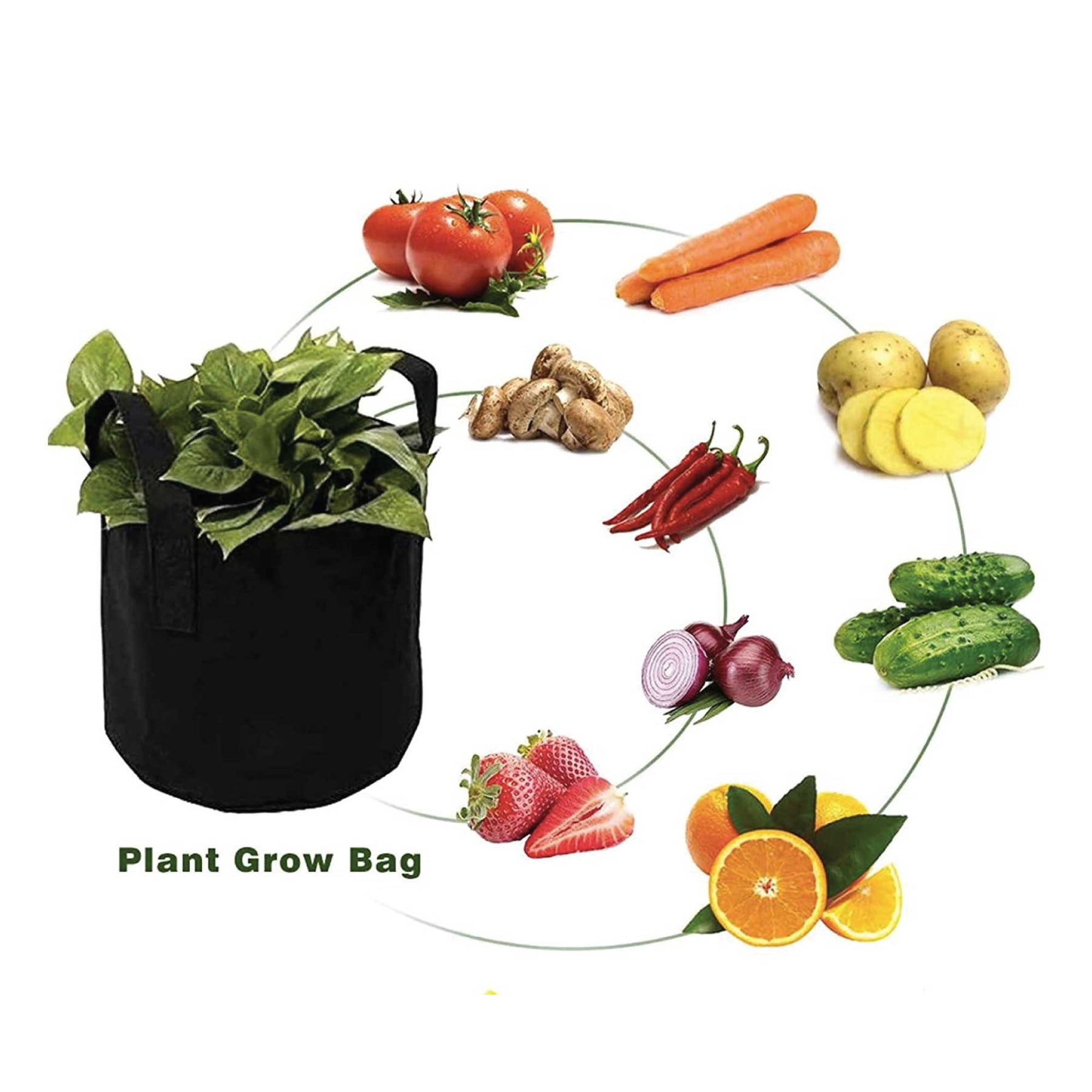 V238 Fabric Plant Grow Bags 10 Gallon / 38L Black Non-Woven Felt - 6 Pack - SuperSaverAU - view 4