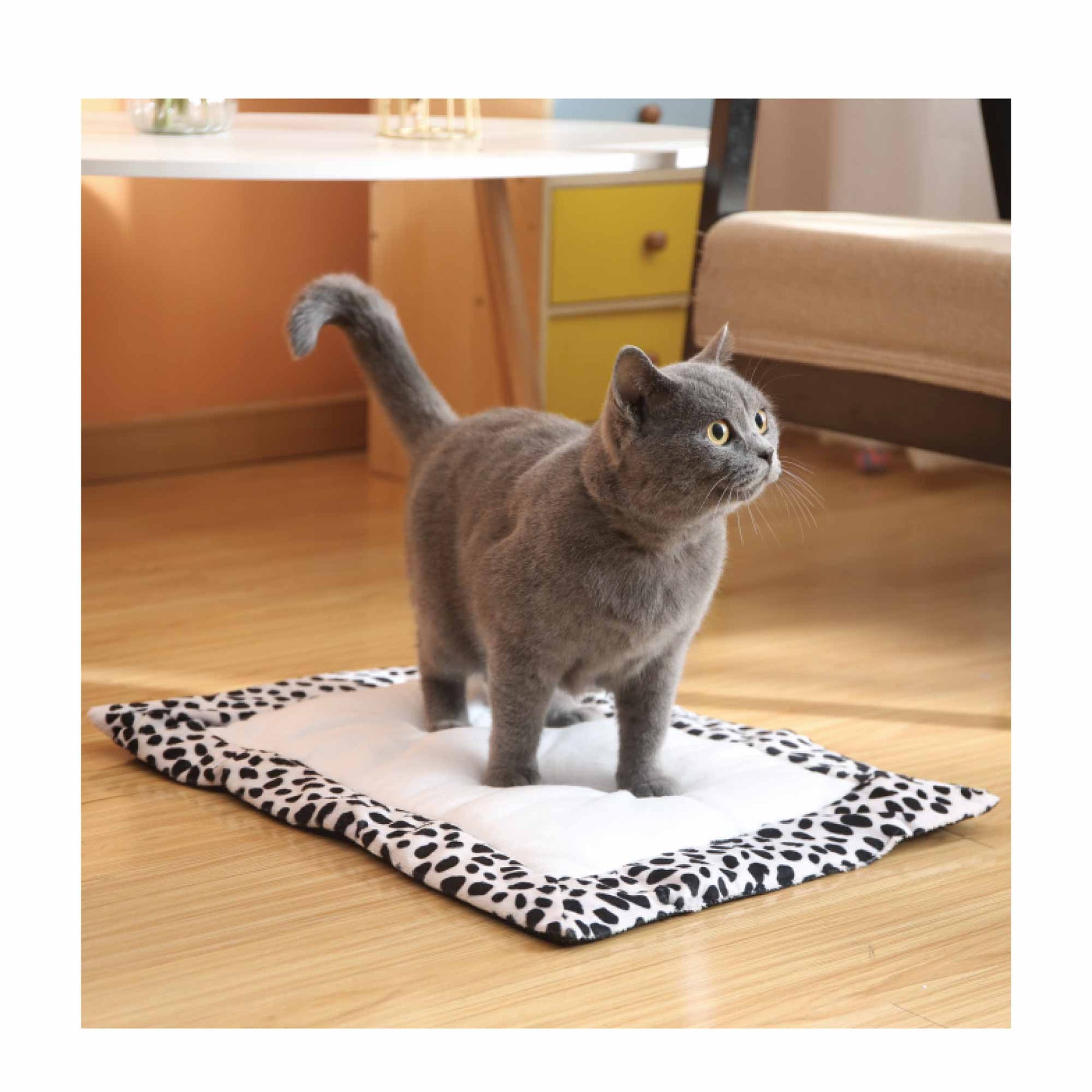 Pawise Cozy Pad Cat Heating Mat Anti Slip Base 55 x 40cm Machine Washable - SuperSaverAU - view 2