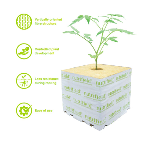 Nutrifield Stonewool 8pk - 75x75x65mm Blocks for Root Development & Disease Control - SuperSaverAU - view 1