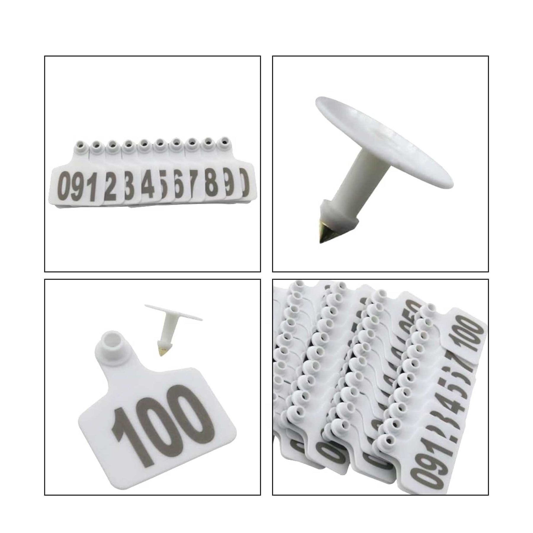 Cattle Ear Tags 1-100 Set - Medium White 6x7cm for Livestock Identification - SuperSaverAU - view 4