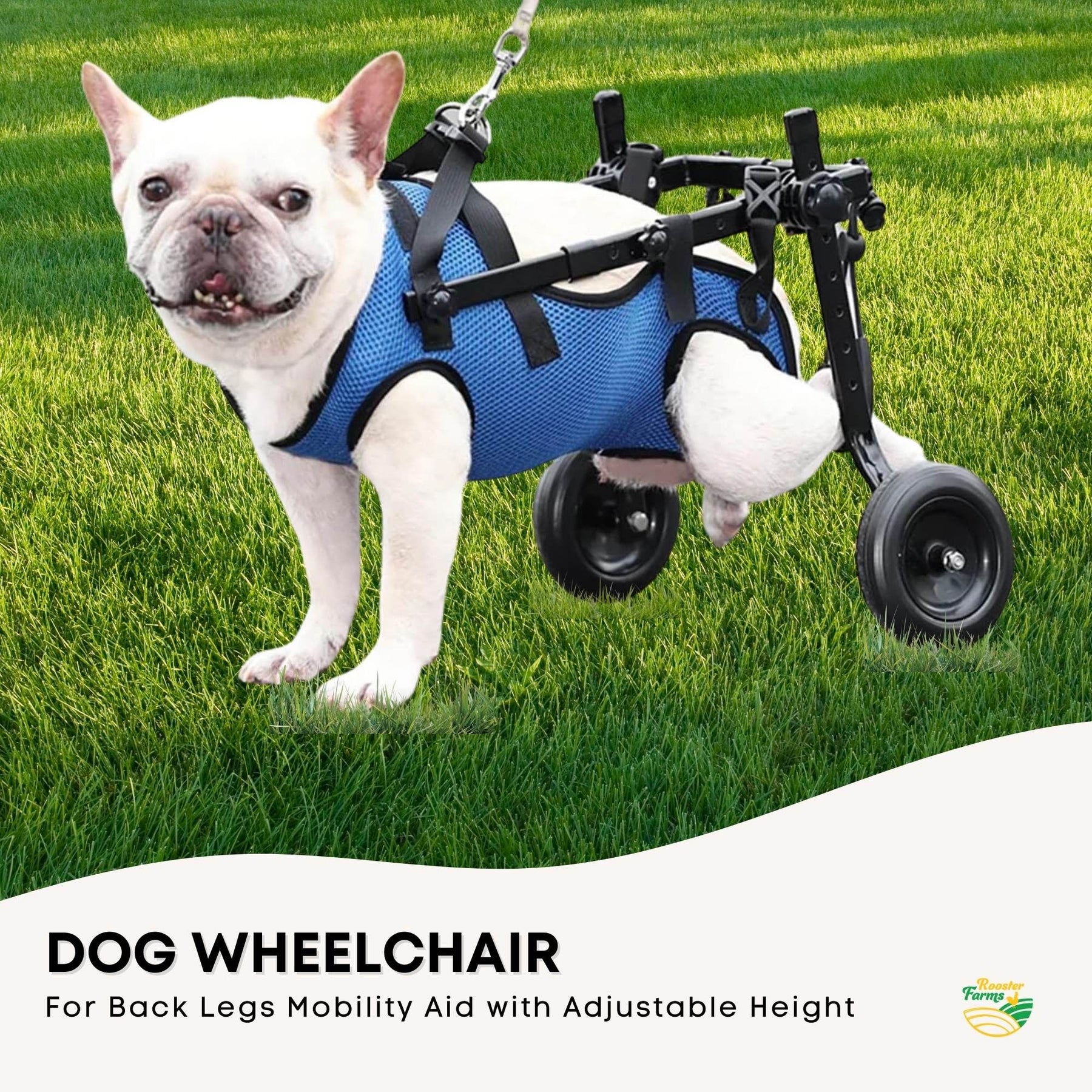 Rooster Farms Dog Wheelchair Medium Harness - Adjustable, Lightweight, Durable