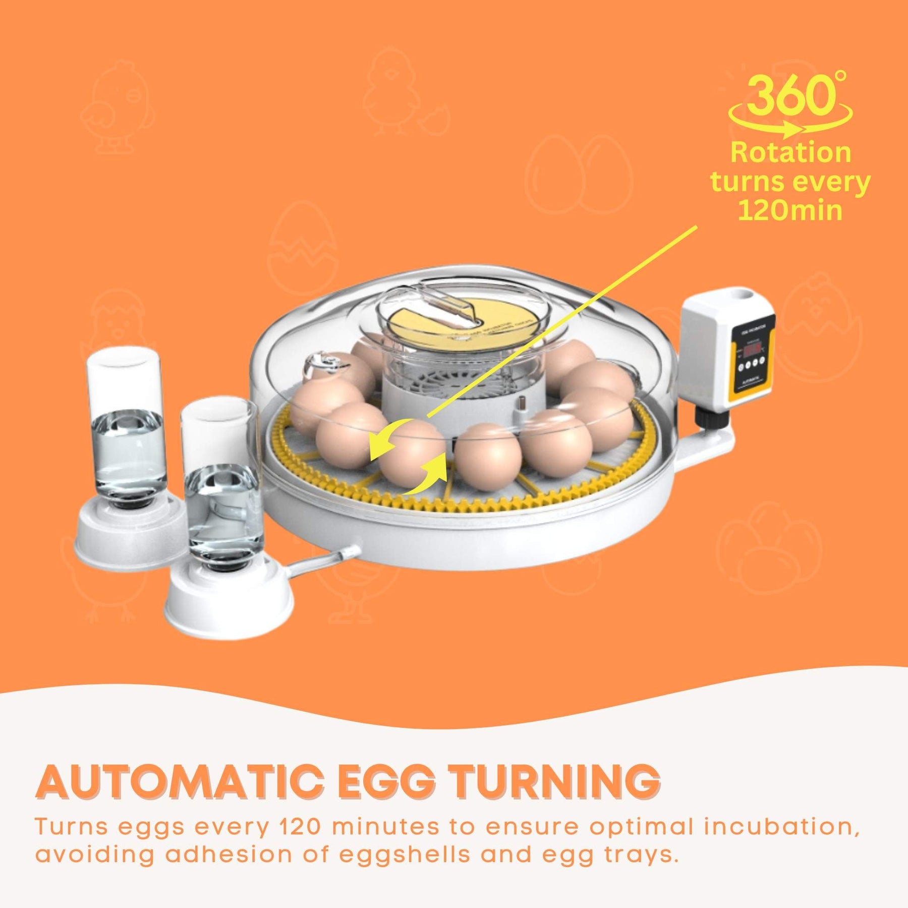 Digital Automatic Egg Incubator for 12 Eggs - Chicken, Quail, Duck, Auto Turning - SuperSaverAU - view 4