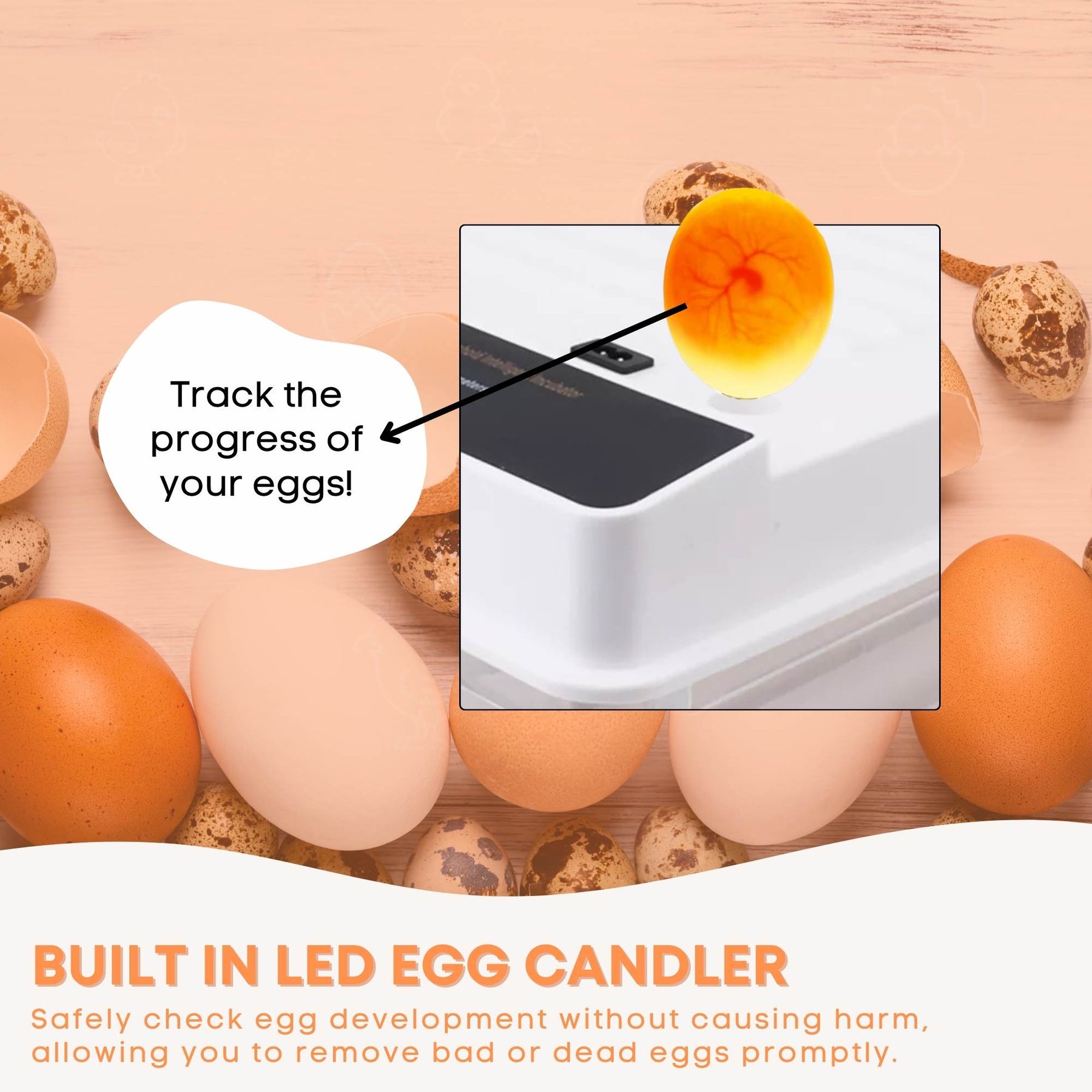Premium Automatic 130 Egg Incubator with Digital Turning