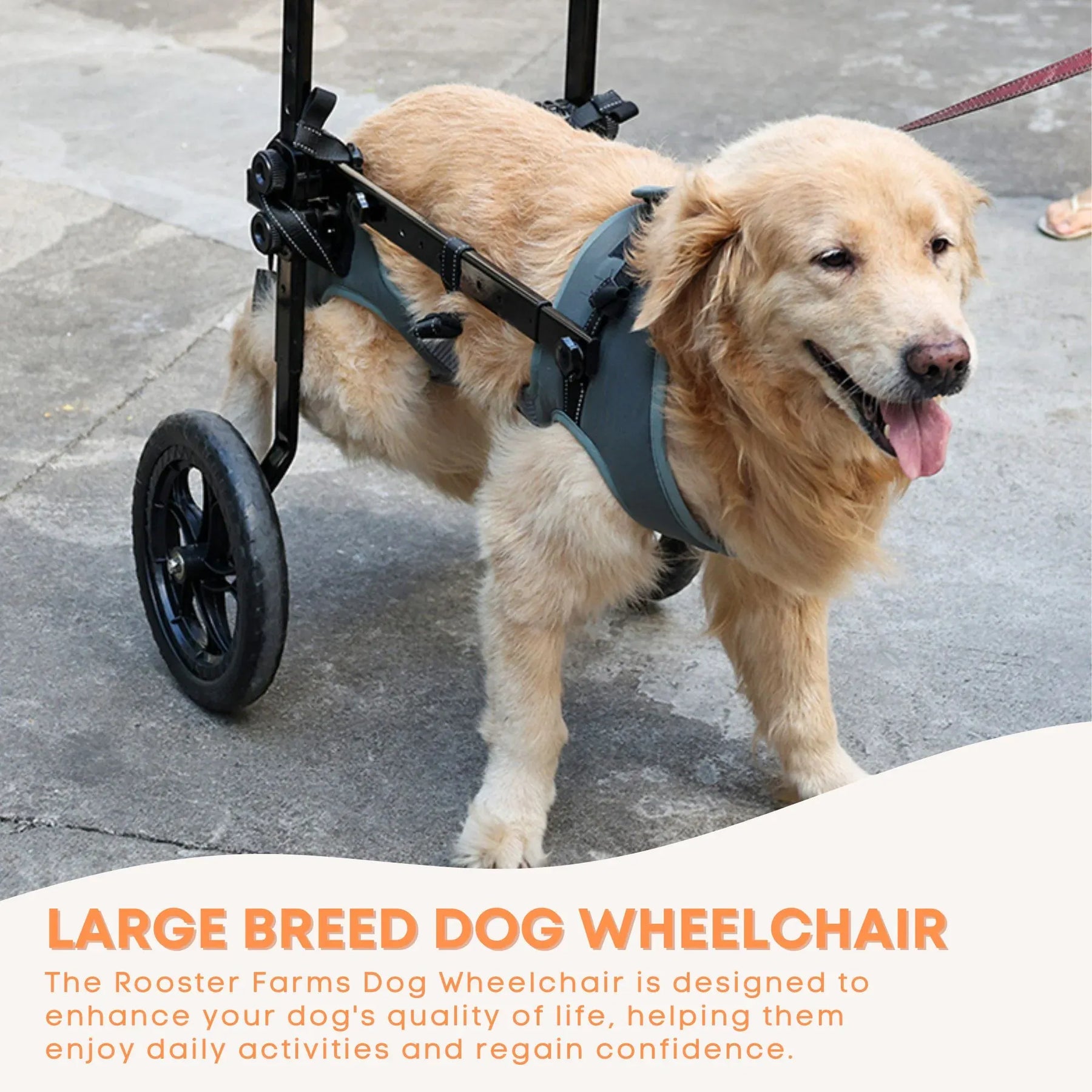 Rooster Farms Large Dog Wheelchair XL Harness - Adjustable, Durable, Lightweight