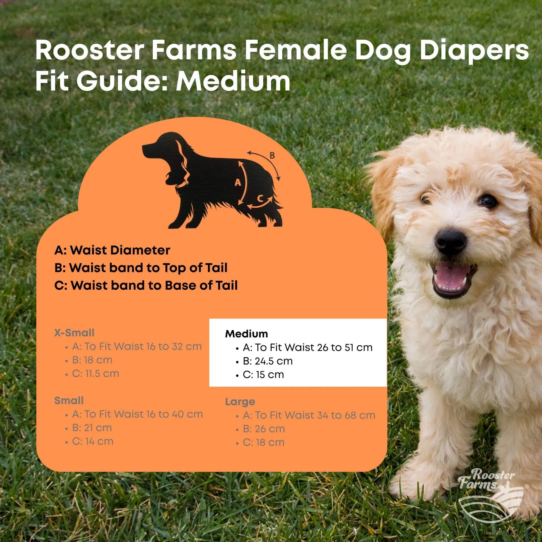 Rooster Farms Washable Female Dog Diapers Hook & Loop Fit - Medium 3pk