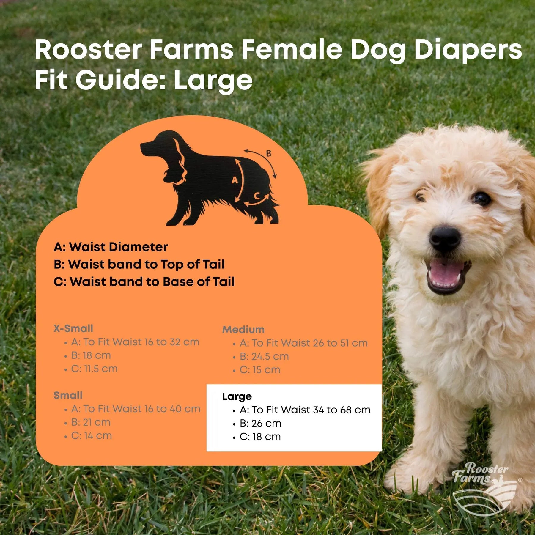 Rooster Farms Female Dog Diapers Washable Reusable - Large 3pk