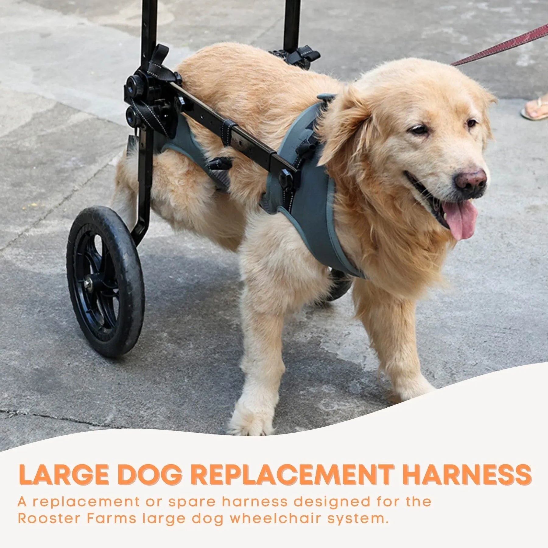 Rooster Farms Dog Wheelchair Replacement Harness Adjustable - XXL
