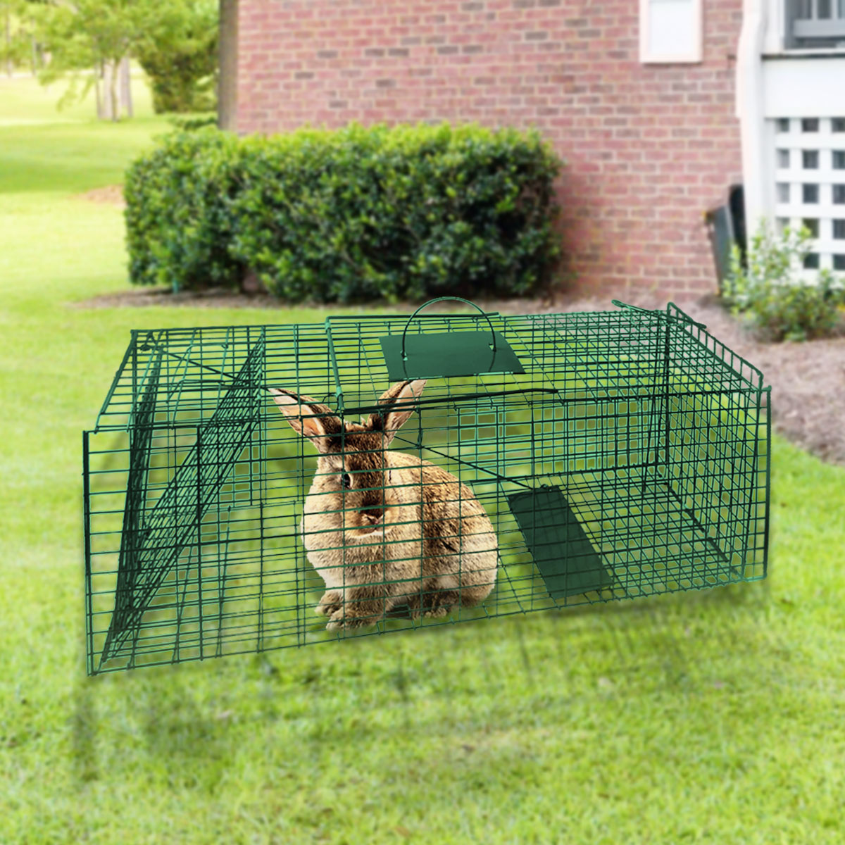 Klika Humane Live Animal Trap 65x24x29cm - Spring Loaded, Collapsible, Safe Transport - SuperSaverAU - view 2