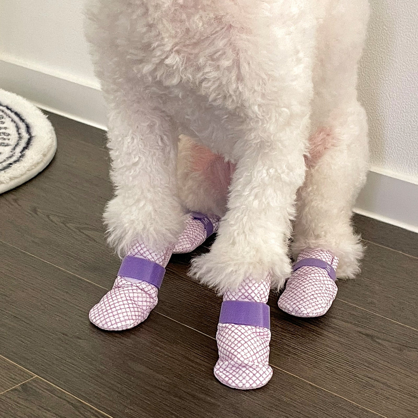 Daeng Daeng Shoes 28pc Waterproof Disposable Dog Boots Anti-Slip Socks S - Violet - SuperSaverAU - view 10