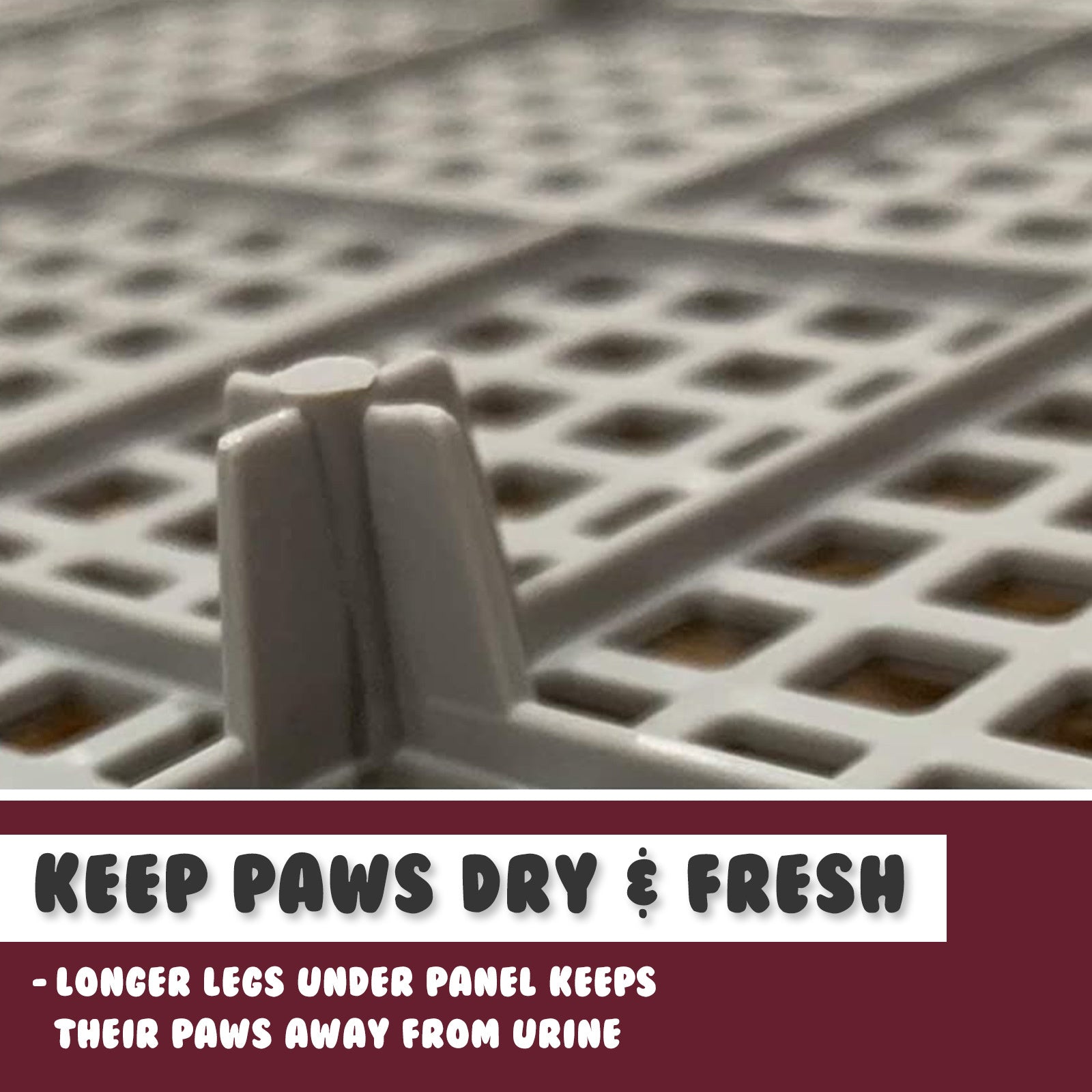 PS KOREA Dog Potty Tray 52.6cm x 43cm x 15cm - Leak-Proof, Raised Walls, Wine - SuperSaverAU - view 6
