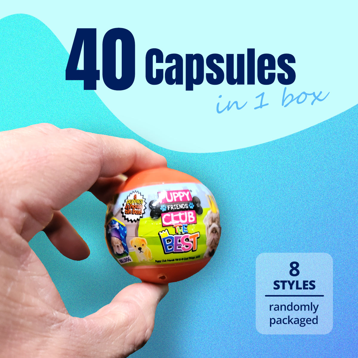 40X Puppy Club The Best Home Toy Capsules 50mm Collectible Gacha in Display Box - SuperSaverAU - view 5