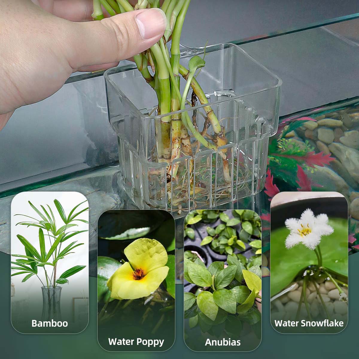2pc Aquarium Plant Holder - Clear Hanging Planters, 8x8x5.7cm, Hooks Included - SuperSaverAU - view 6
