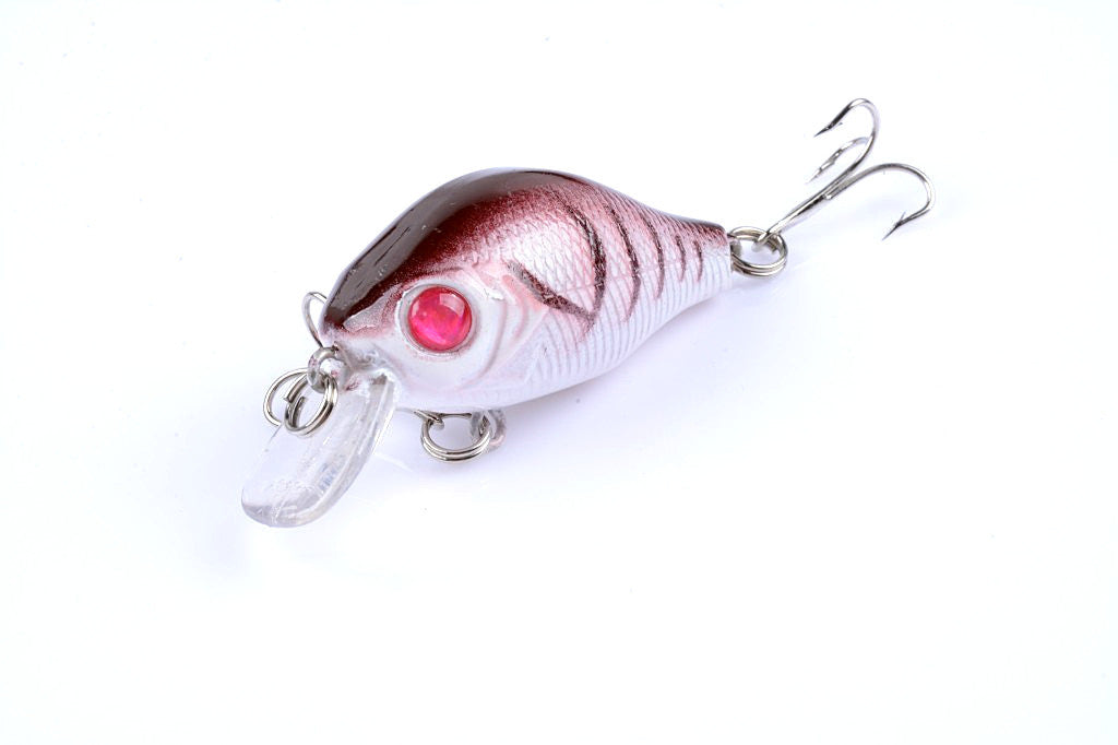 Durable ABS 5.5cm Popper Crank Bait Fishing Lure 5x Saltwater Surface Tackle - SuperSaverAU - view 7