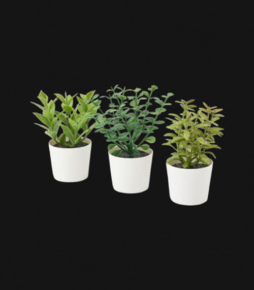 Premium Artificial Herb Potted Plants in White Pots - 3 Pack