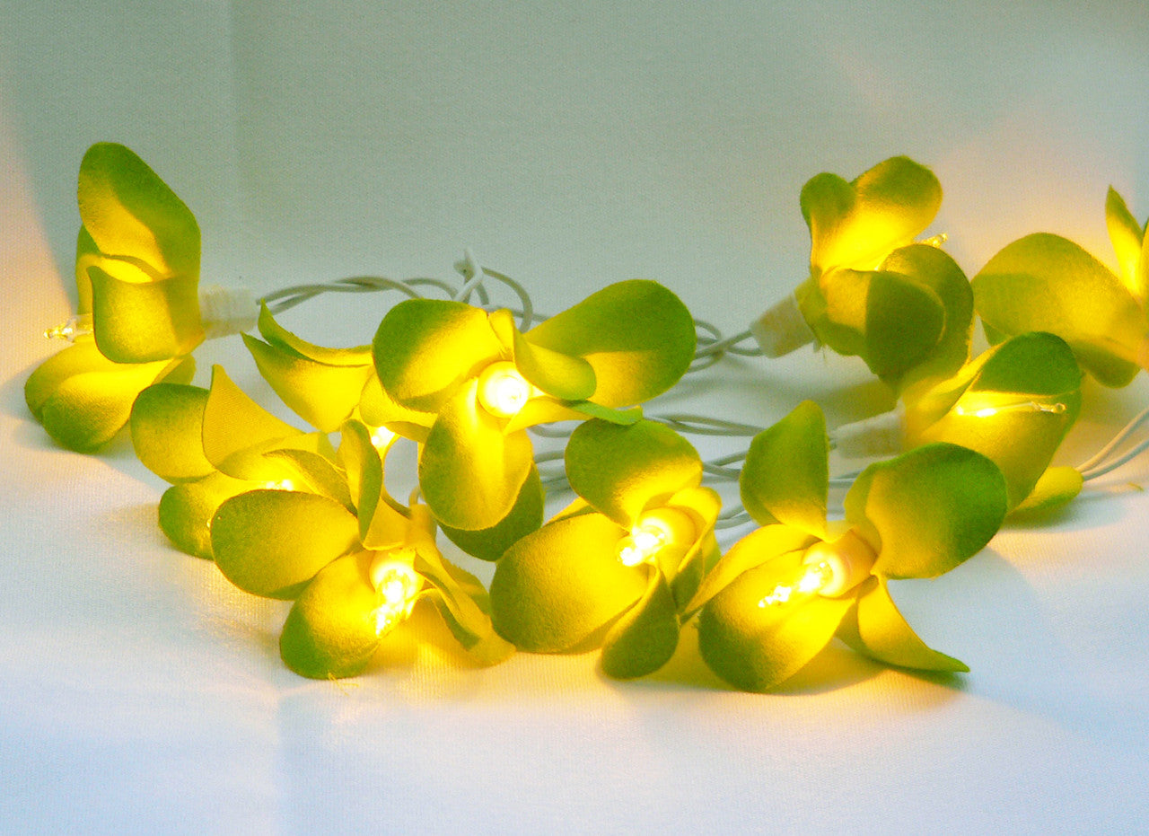 1 Set of 20 LED Green Frangipani Flower Battery String Lights - SuperSaverAU - view 5