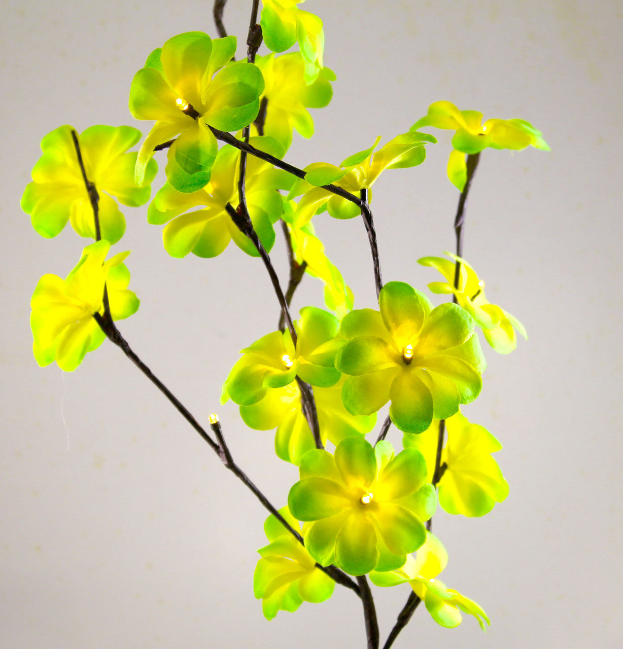 Green Frangipani Stem Fairy Lights 50cm H 20 LED Battery Operated Table Centrepiece - SuperSaverAU - view 1