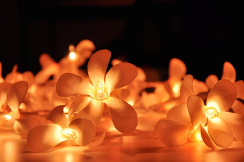 1 Set of 20 LED Orange Frangipani Flower Battery String Lights Christmas Gift Home Wedding Party Decoration Outdoor Table Garland Wreath - SuperSaverAU - view 2