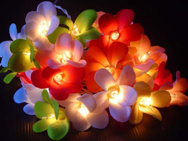 1 Set of 20 LED Tropical Bright Colous Frangipani Flower Battery String Lights Christmas Gift Home Wedding Party Decoration Outdoor Table Centrepiece - SuperSaverAU - view 3