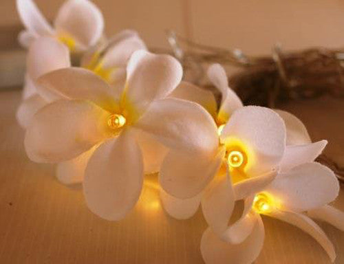1 Set of 20 LED White Frangipani Flower Battery String Lights Christmas Gift - SuperSaverAU - view 5