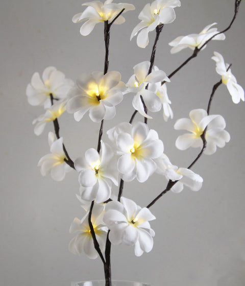 White Frangipani Stem Fairy Lights 50cm H 20 LED Battery Operated Table Decoration - SuperSaverAU - view 1