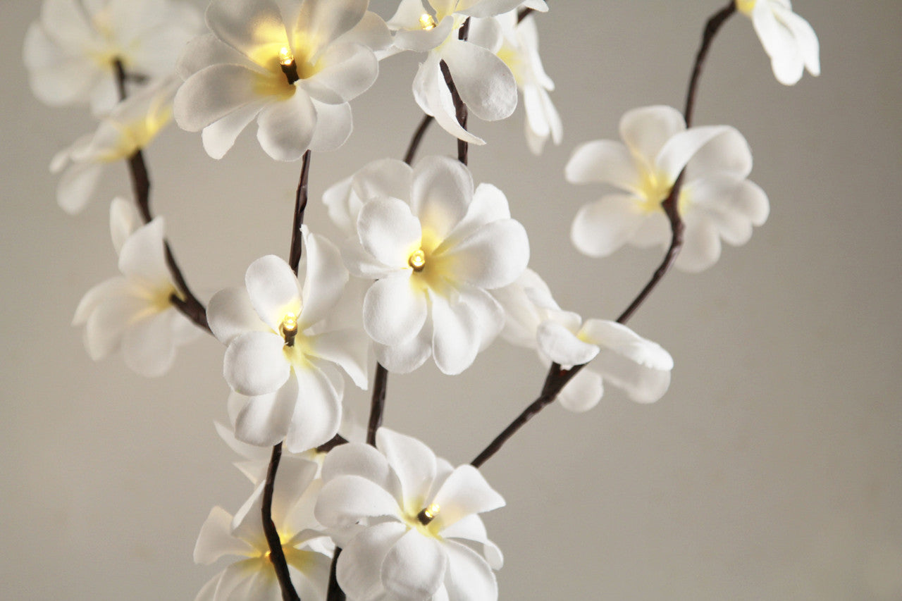 White Frangipani Stem Fairy Lights 50cm H 20 LED Battery Operated Table Decoration - SuperSaverAU - view 2