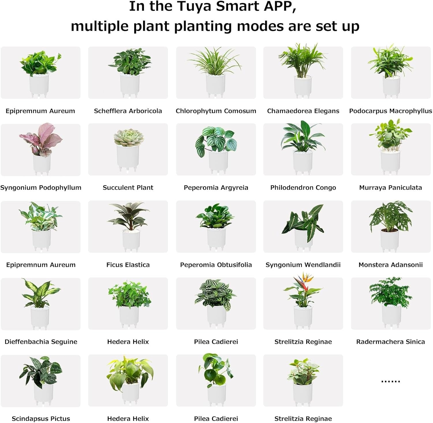 Premium Smart Plant Pot with LCD Screen & App Connection - Pink
