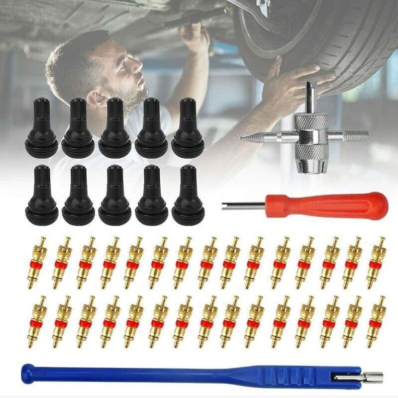 Premium 43 Piece Car Tyre Valve Tool Set with Stem Puller