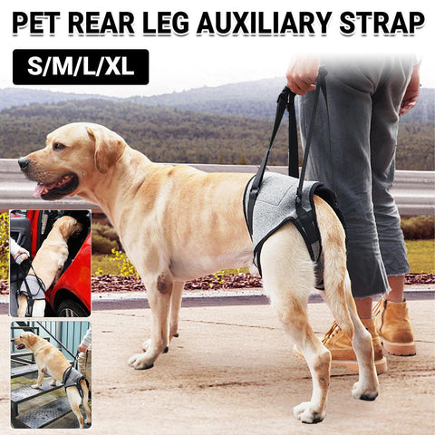 Decompression Back Leg Strap Support Harness Aid for Dogs - XL - SuperSaverAU - view 1
