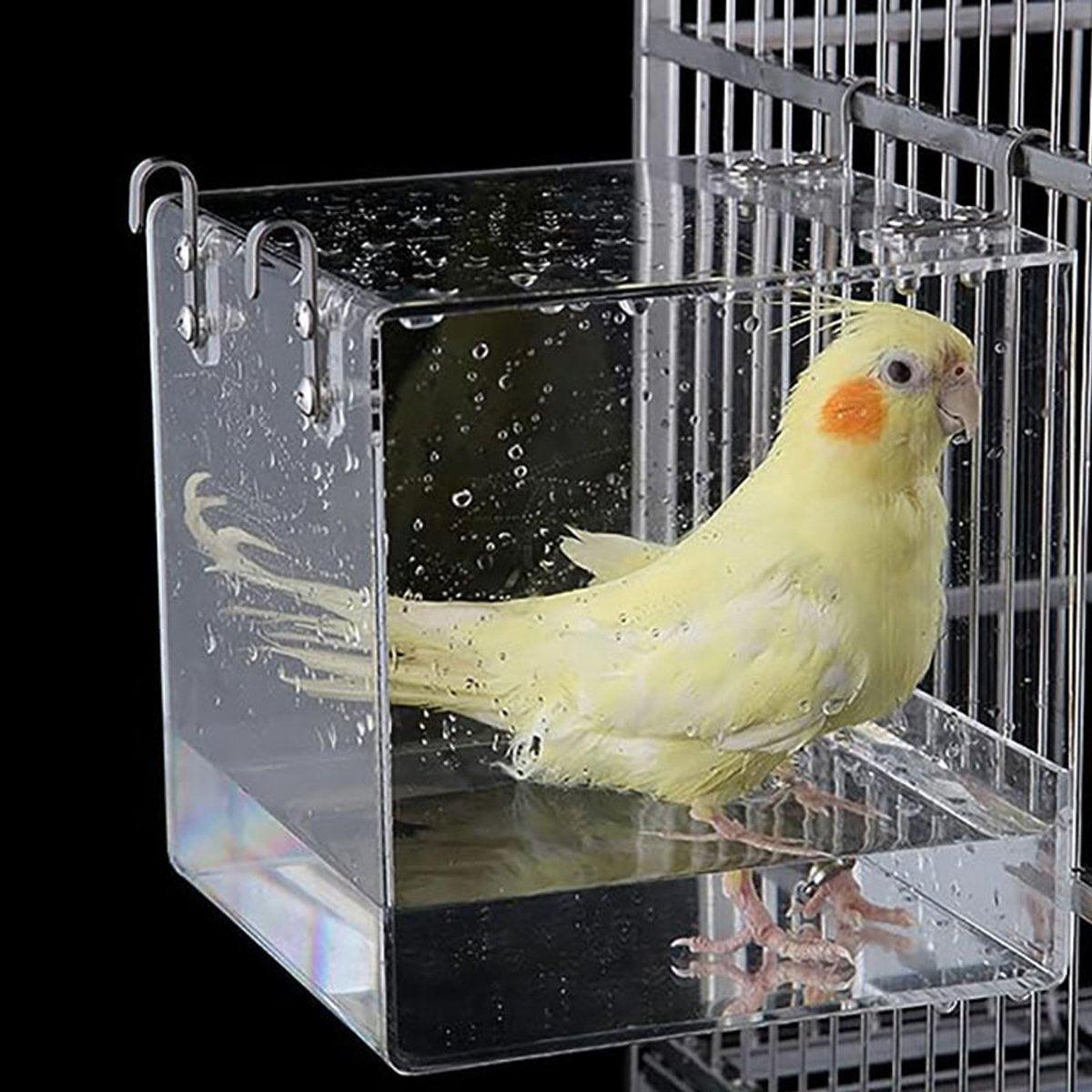 Acrylic Bird Bath Tub 5.11" x 4.33" for Small to Medium Birds, Clear Design - SuperSaverAU - view 4