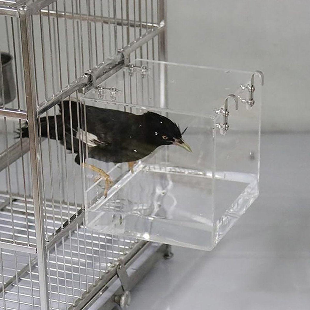 Acrylic Bird Bath Tub 5.11" x 4.33" for Small to Medium Birds, Clear Design - SuperSaverAU - view 5