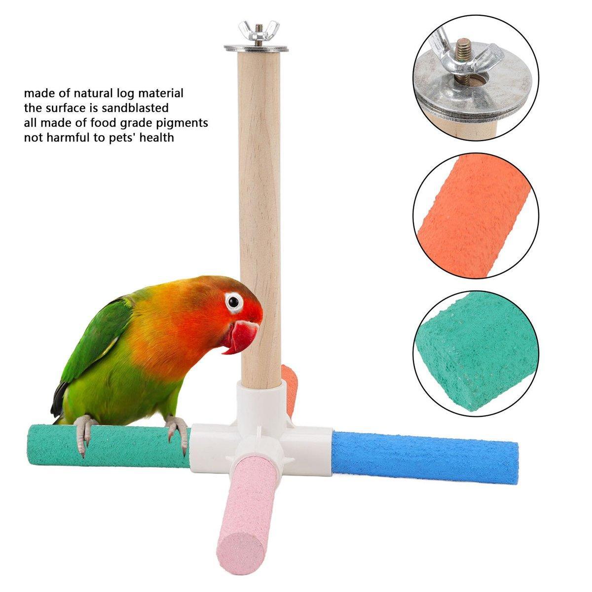 Premium Colourful Parrot Umbrella Perch Stand with Claw Grinding Bars