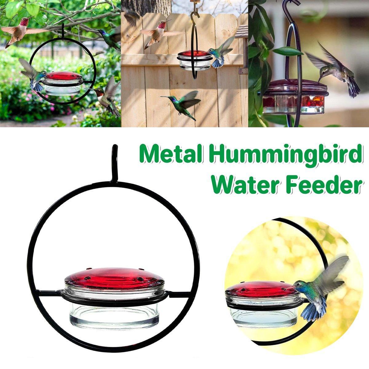 Premium Metal Hummingbird Feeder with Glass Reservoir