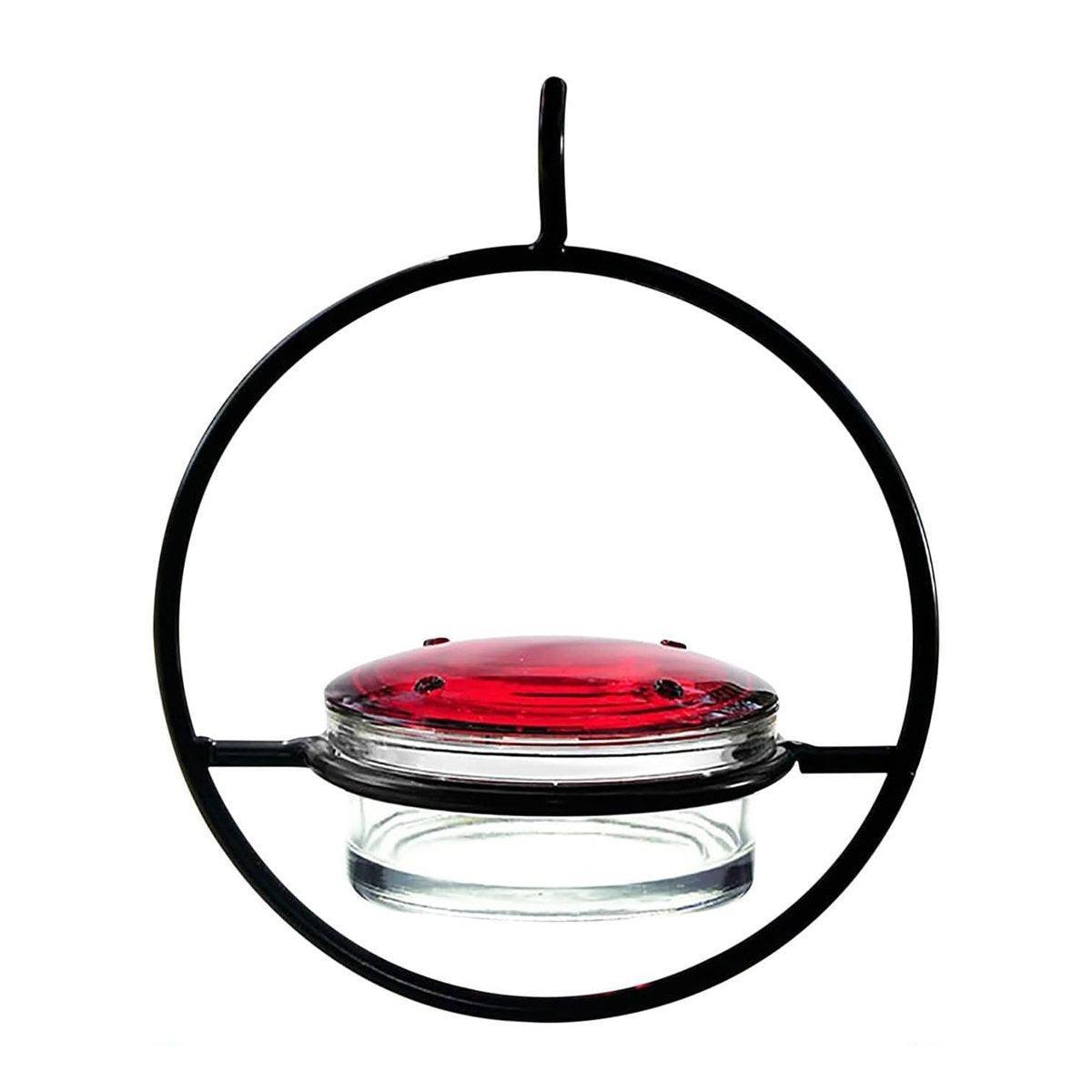 Premium Metal Hummingbird Feeder with Glass Reservoir
