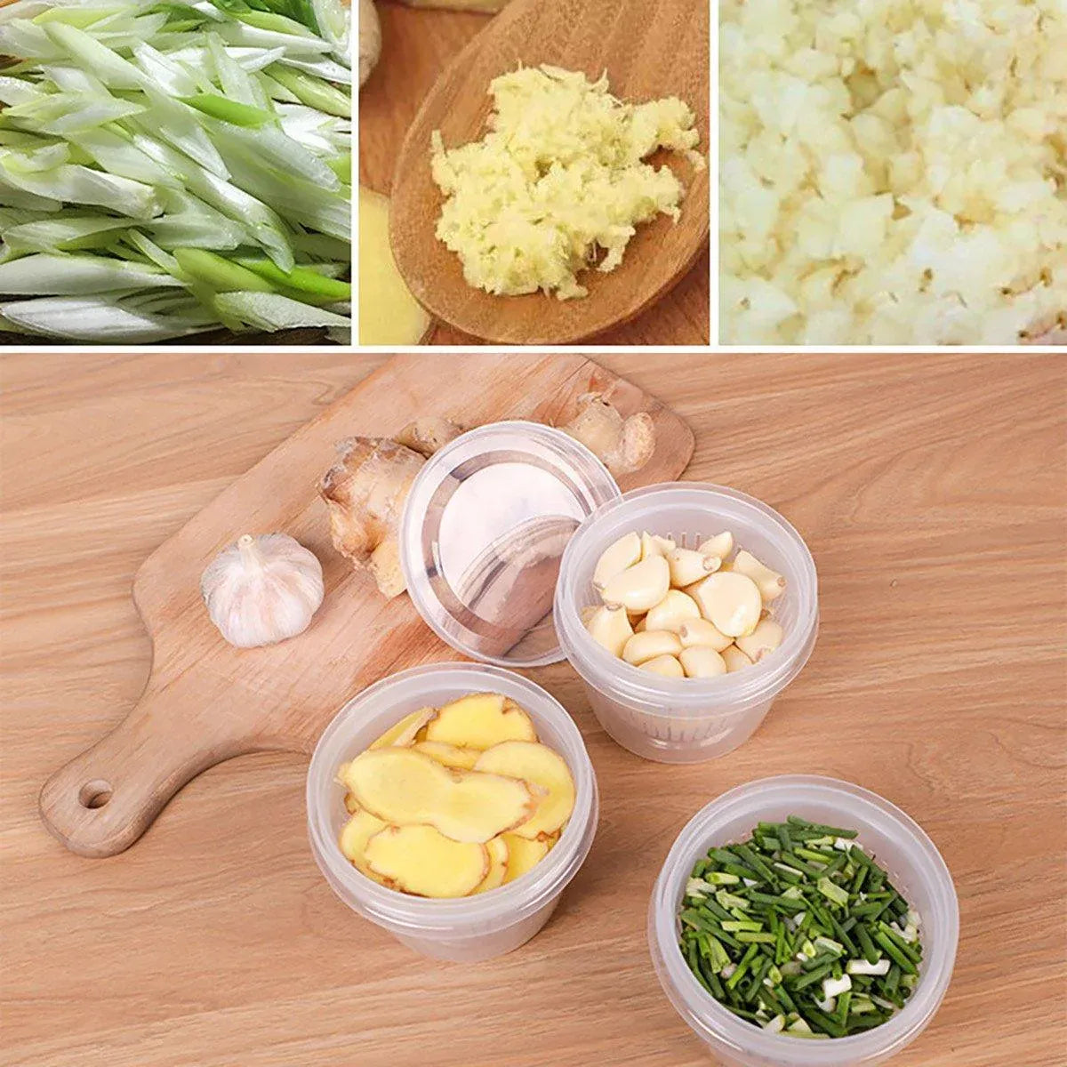 Premium Plastic Storage Containers with Drain Layers – 5 Pack