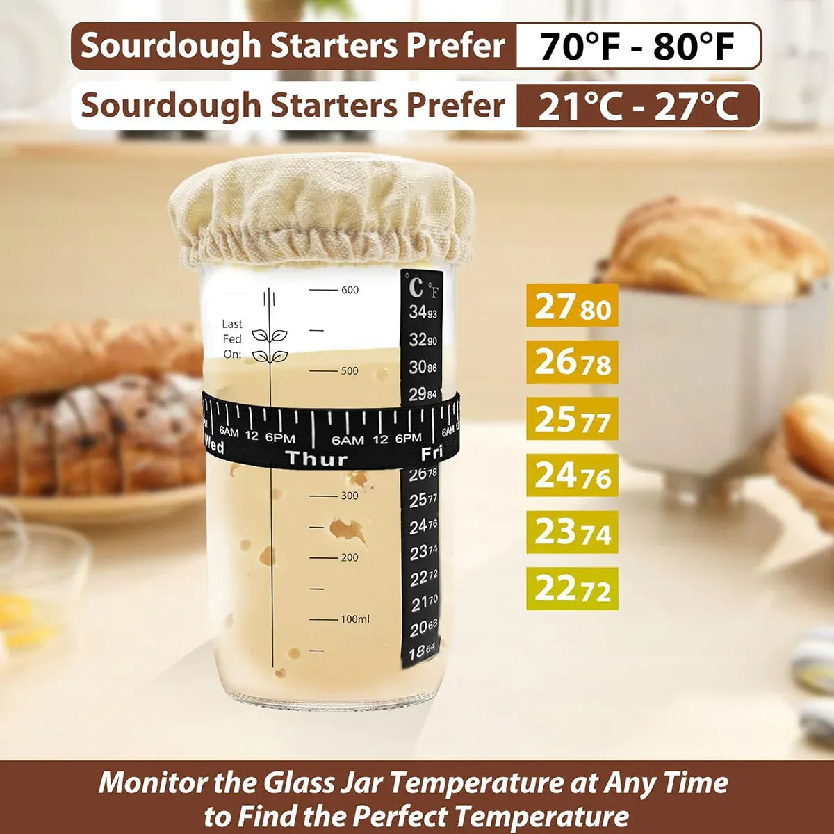 Premium 24oz Glass Fermentation Jar Kit – with Spatula