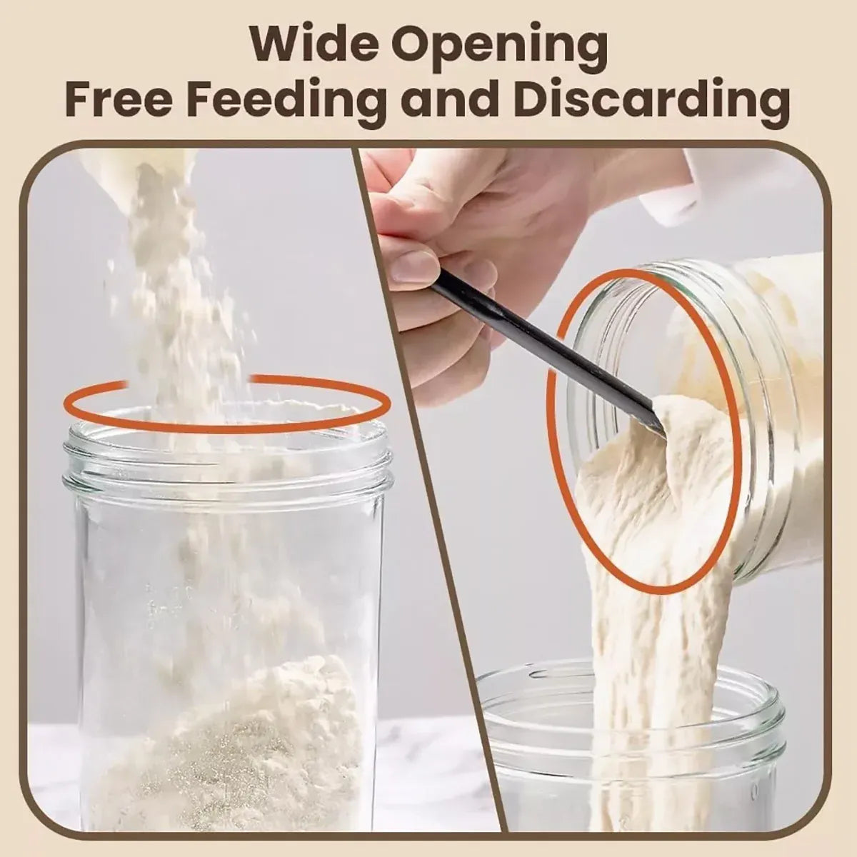Premium 24oz Glass Fermentation Jar Kit – with Spatula