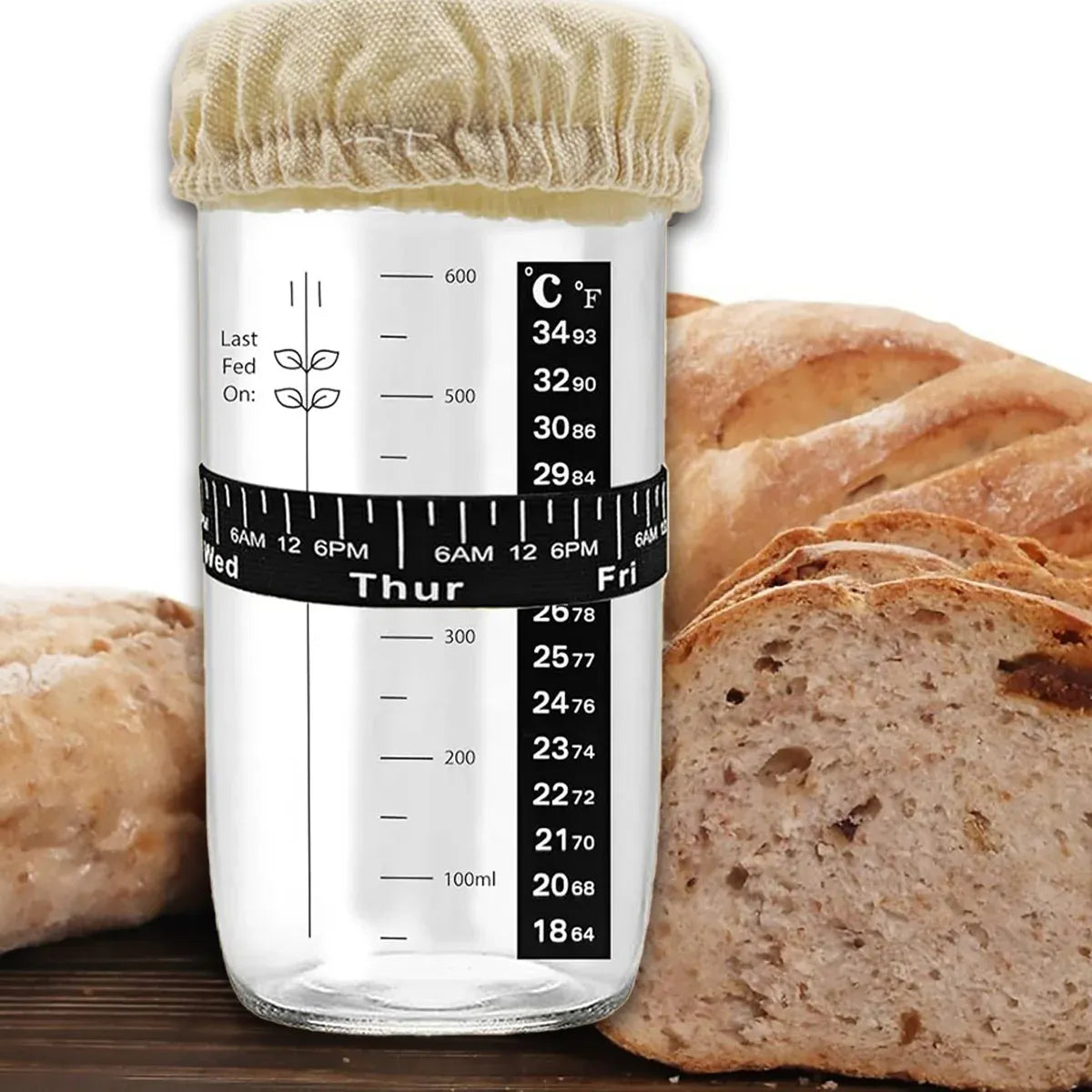Premium 24oz Glass Fermentation Jar Kit – with Spatula