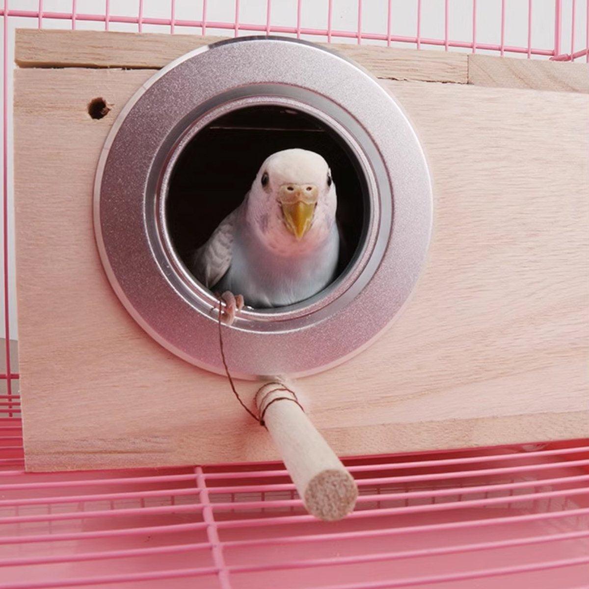 Premium Wooden Bird Breeding Nest Box - Small 19.5 x 12 x 12cm