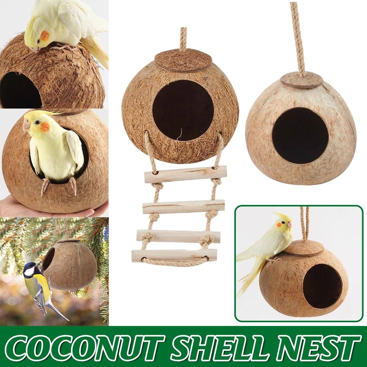 Premium Coconut Shell Bird Nest Bed with Stairs - 13.5-15cm